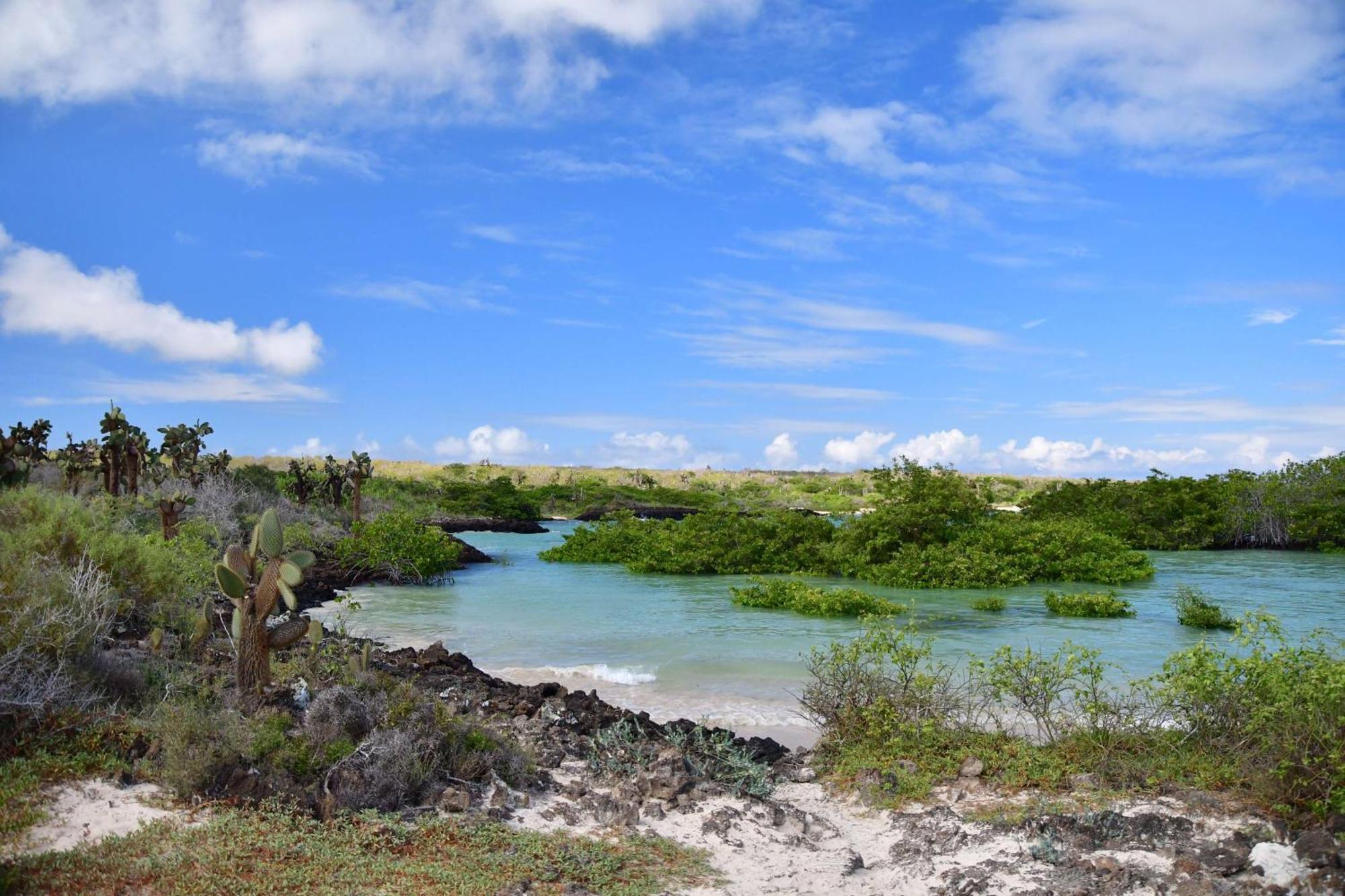 Royal Palm Galapagos, Curio Collection Hotel By Hilton Bellavista  Екстер'єр фото