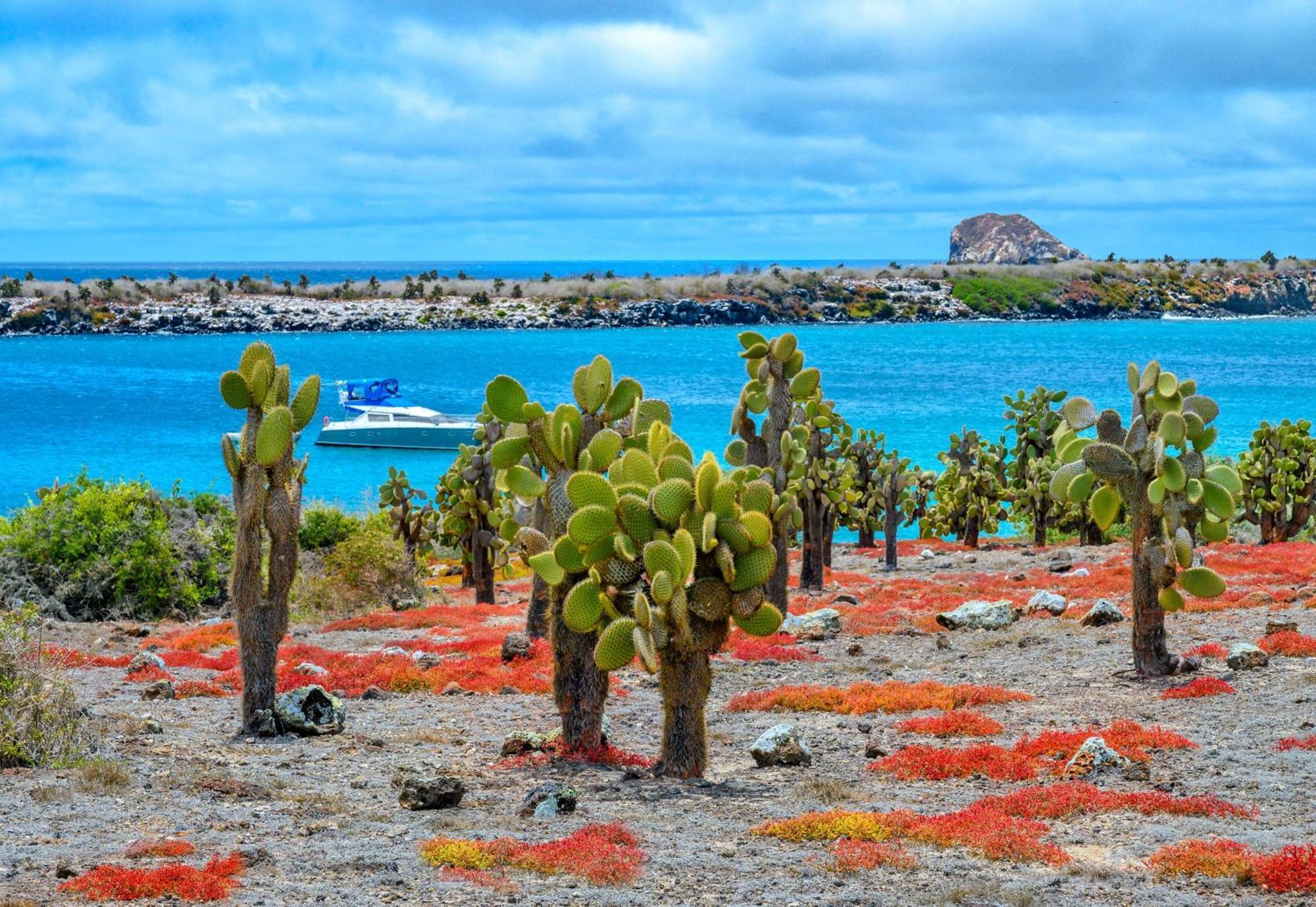 Royal Palm Galapagos, Curio Collection Hotel By Hilton Bellavista  Екстер'єр фото